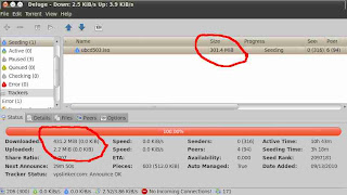deluge torrent downloader linux file size problem