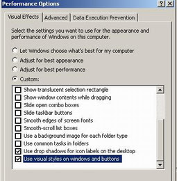 Performance option