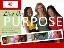 Soul Purpose Opportunity