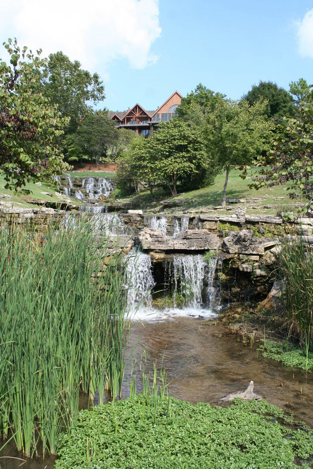A Broad Abroad An Okie Traveller Out & About Big Cedar Roughing It