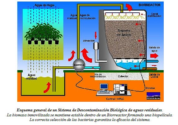 tratamiento de aguas residuales tratamiento de aguas residuales