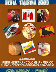 CARTEL INTERNACIONAL 2009