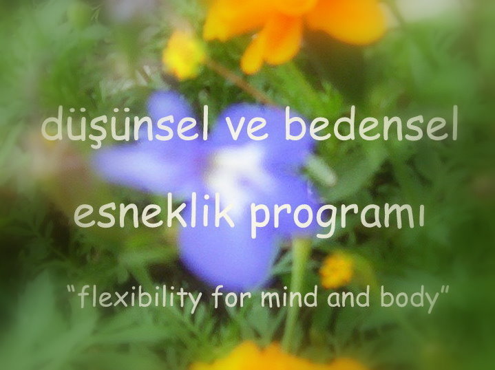 DÜŞÜNSEL VE BEDENSEL ESNEKLİK PROGRAMI (flexibility for body and mind)