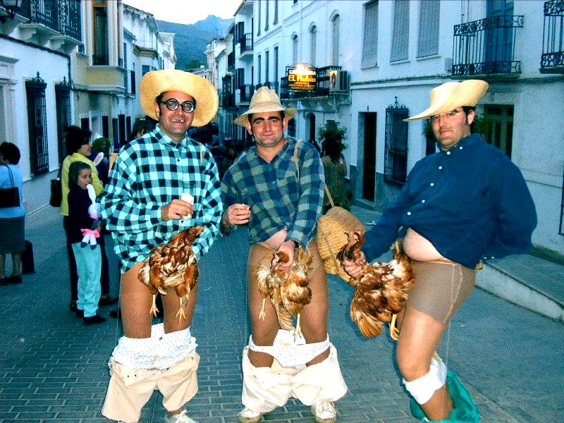 [FollagallinasDeFrente.JPG]