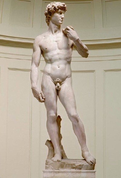 [Michelangelo,+David+1501-04.jpg]