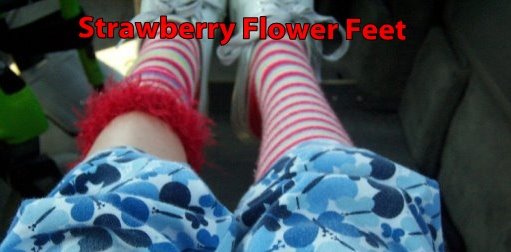 Strawberry Flower Feet