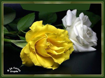 http://4.bp.blogspot.com/_JDYYUsDUznQ/SNpy_hkx5LI/AAAAAAAAARo/811NQj4XW_s/s400/481.jpg