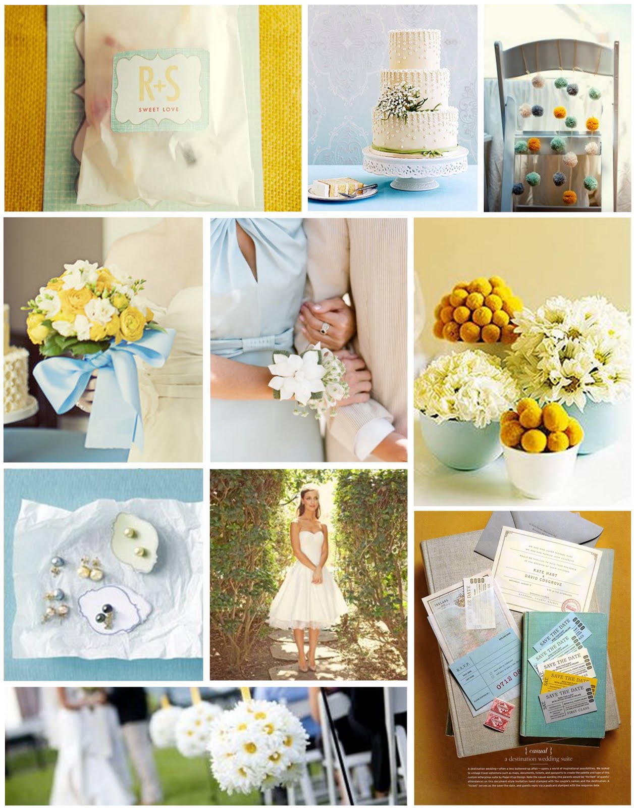 Baby Blue Daisies