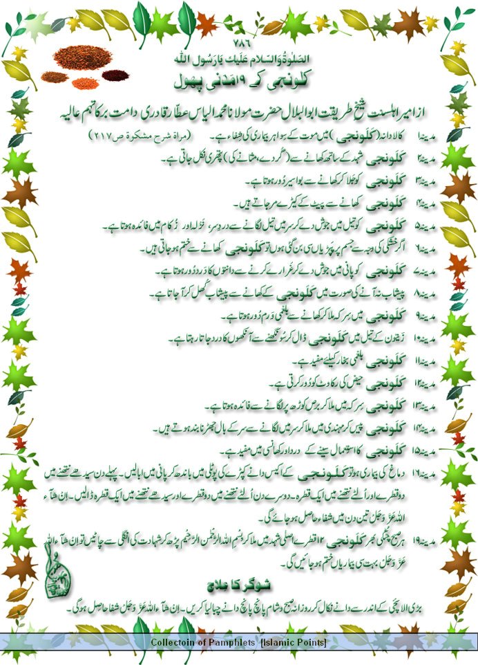 madani books in urdu