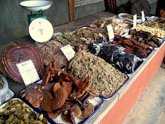 fungus and herb market