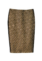 Pencil Skirt is The Hit Of This Season (Fall 2009)