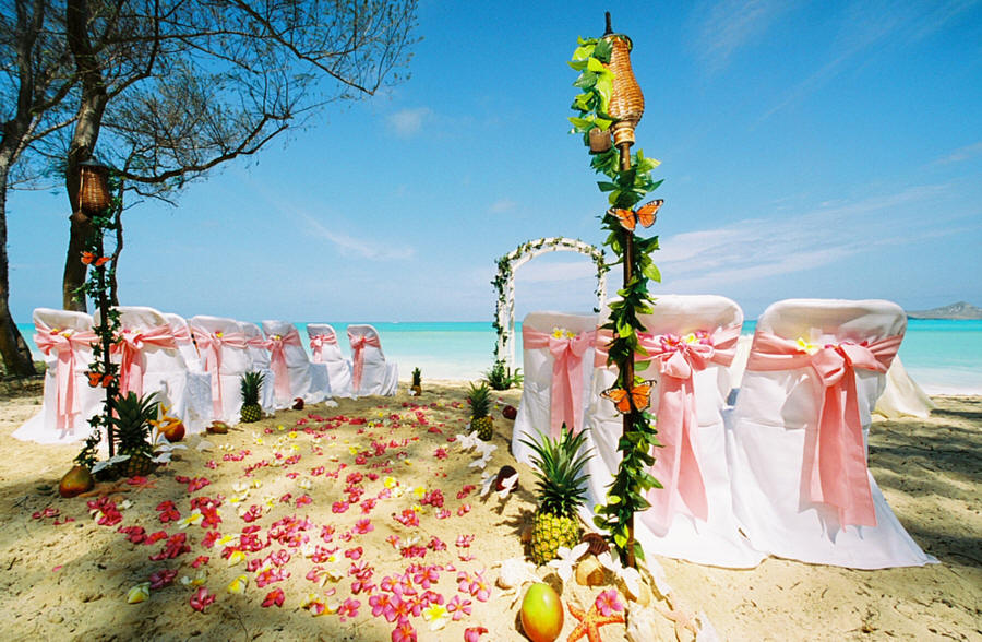 Beach Wedding Beach Wedding