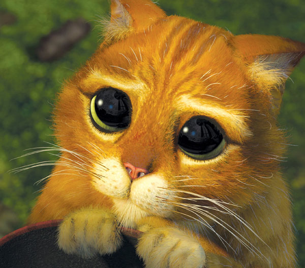 GATO DE SRHEK gato de srhek: