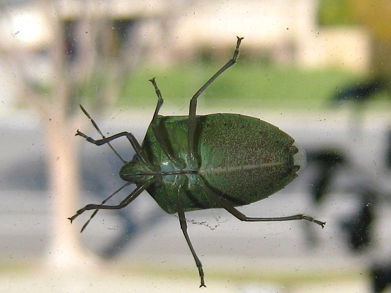 [IMG_7507.JPG]