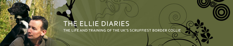 The Ellie Diaries