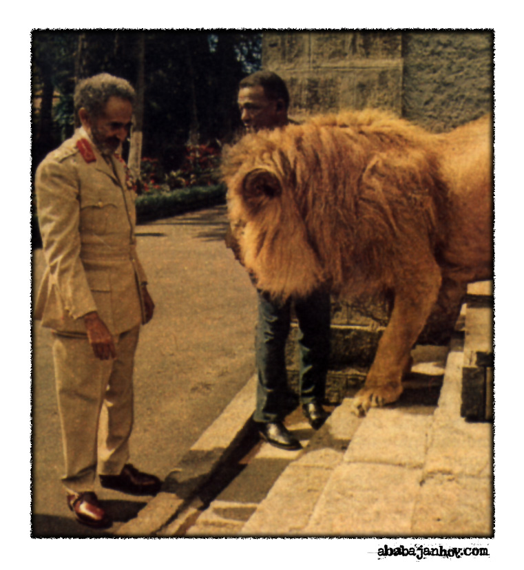 [c_Selassie_2_008.jpg]
