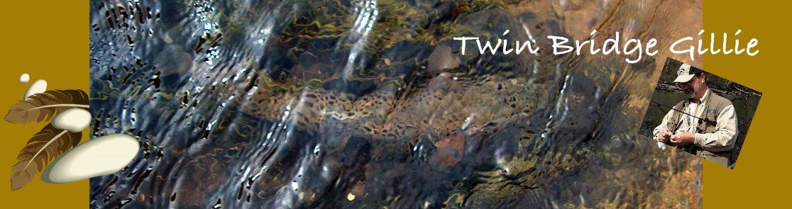 Home Waters ~ Twin Bridge Gillie