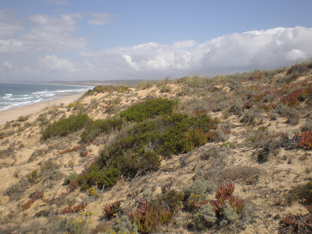 [paisagem1.jpg]