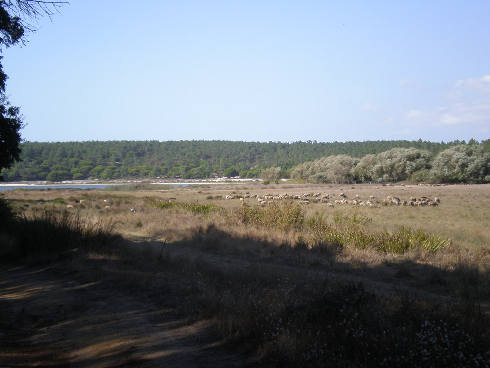 [paisagens4.jpg]