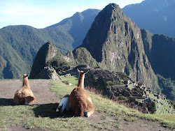 Machu Picchu