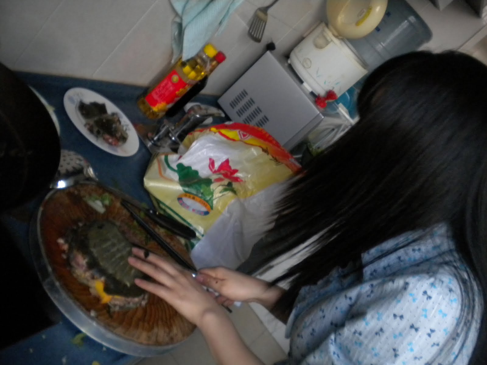 Turtle Cooking
