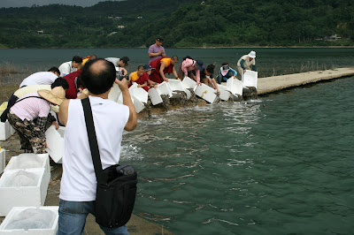水生物放生活動。照片提供：台灣動物社會研究會