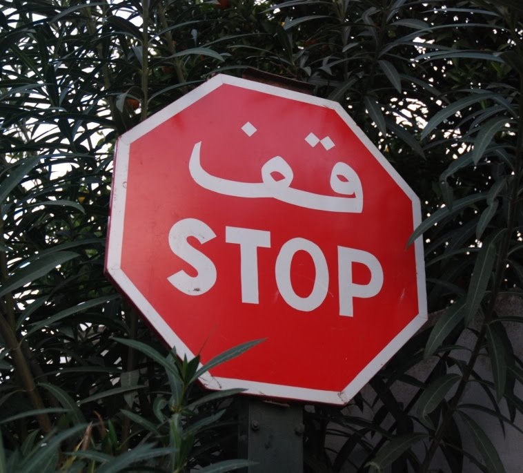 [DSC_8345.JPG]