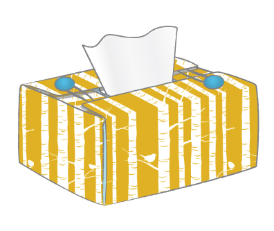 [tissuebox_5.jpg]