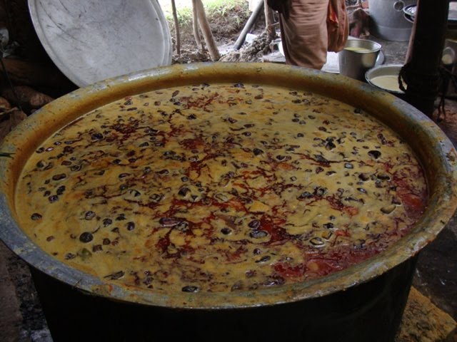 [DSC02673-795363.JPG]