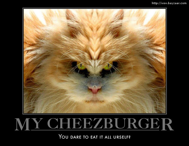 My cheezburger You ate it My cheezburger You ate it