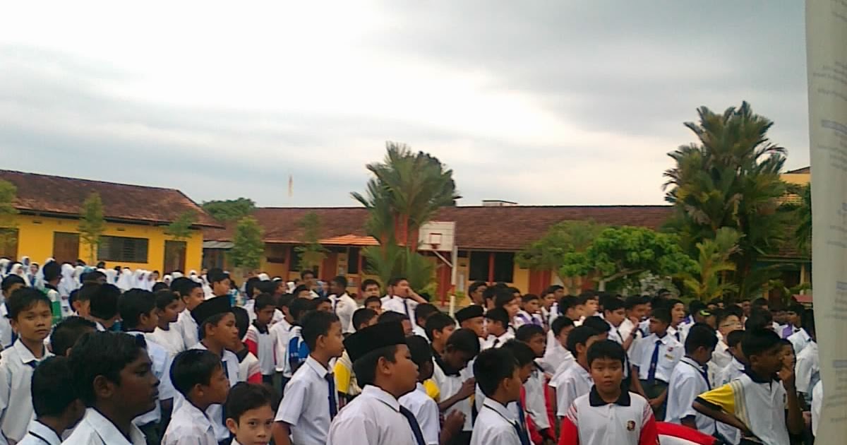 Kursus perdagangan opsi mingguan