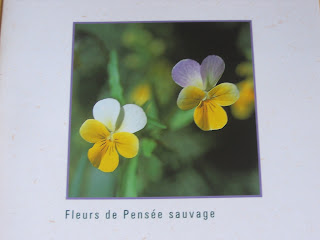 Retrospective Janvier