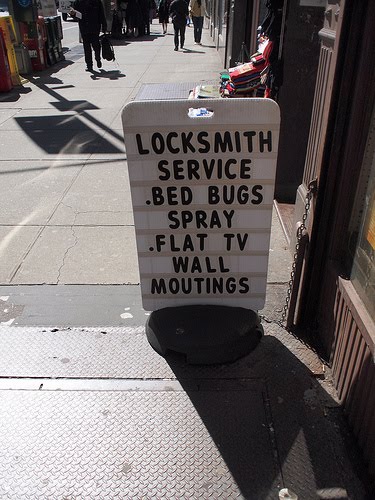 Bedbugs are back.