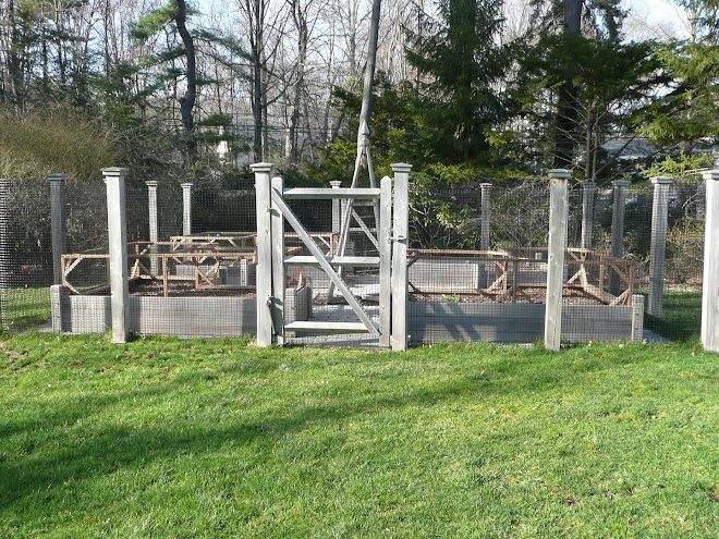 Raised Vegetable beds, bean pole and posts with screening