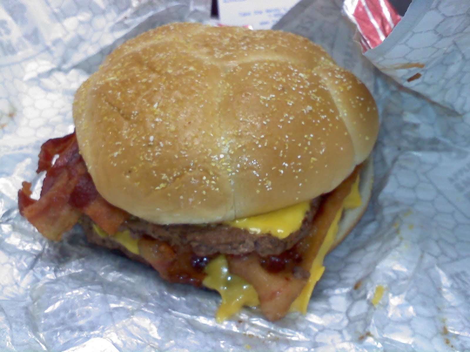 [baconator+pic.jpg]