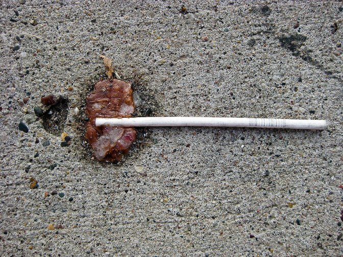 [BusStop369.jpg]
