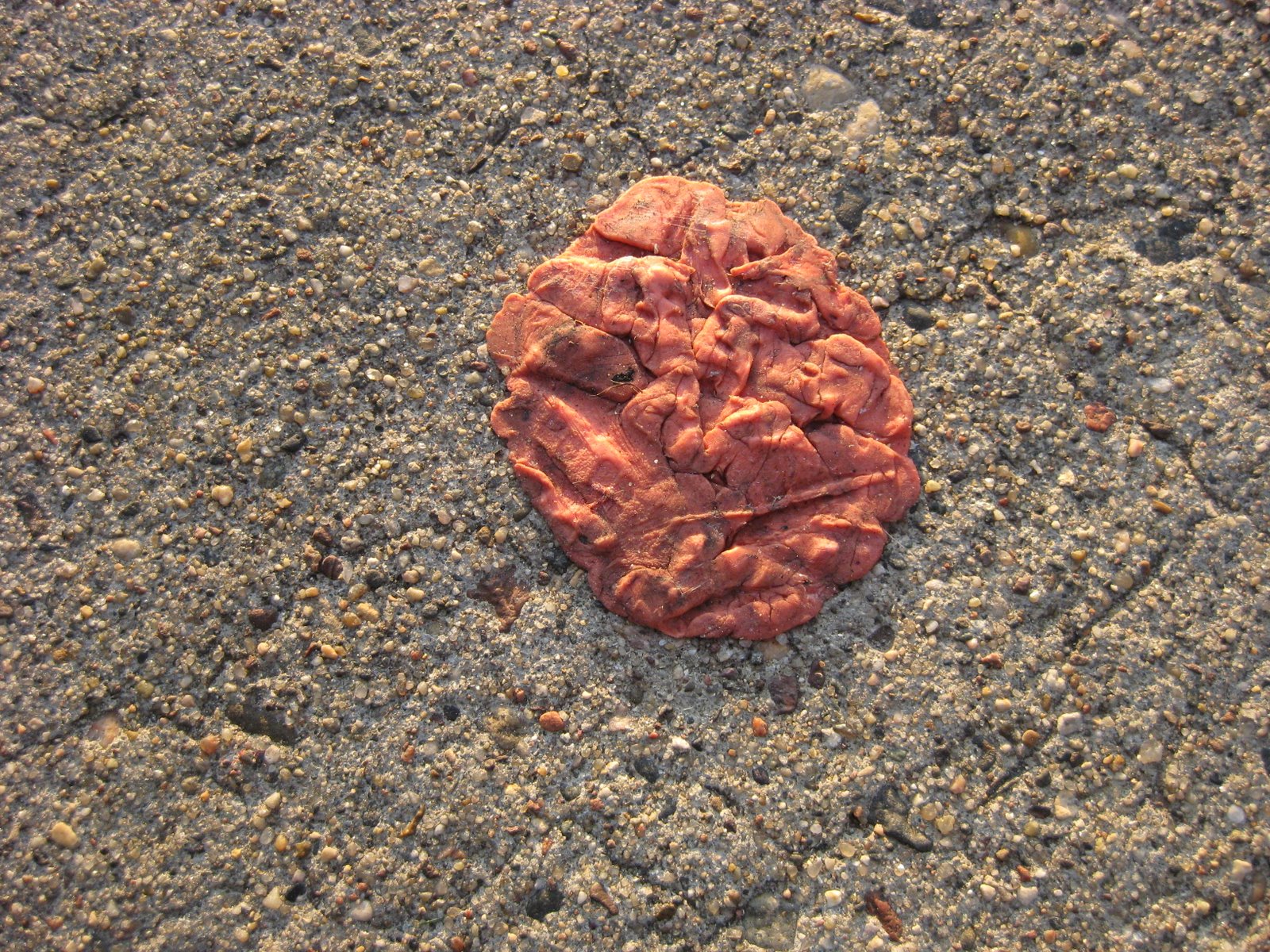 [BusStop441.JPG]