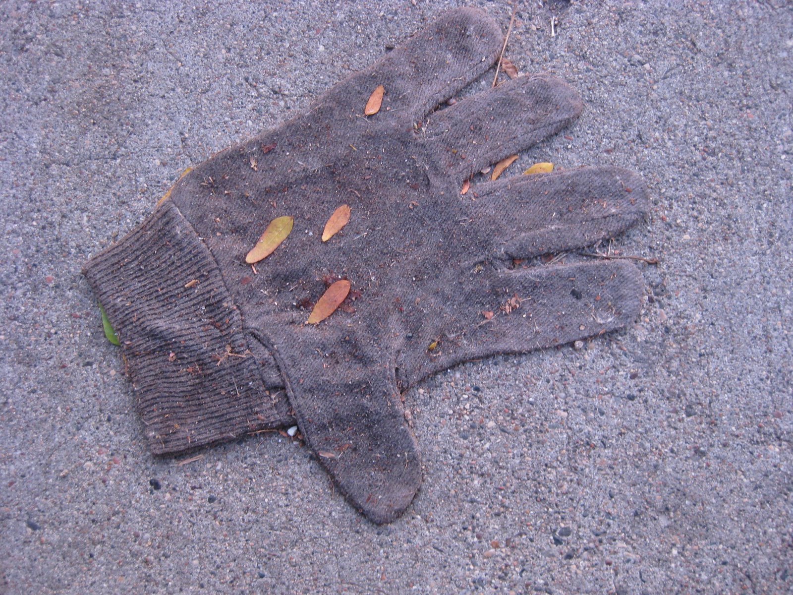 [BusStop490.JPG]