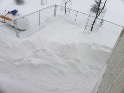 Blizzards In Alaska. Retired in Alaska: Blizzard Day