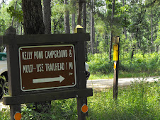 Kelly's Pond Rest Area #3
