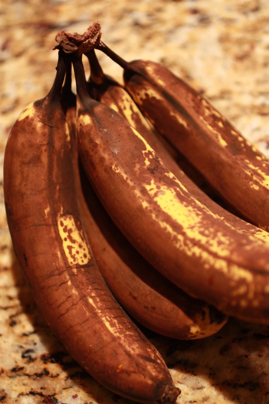 Schnauzer & Strudel Old Bananas