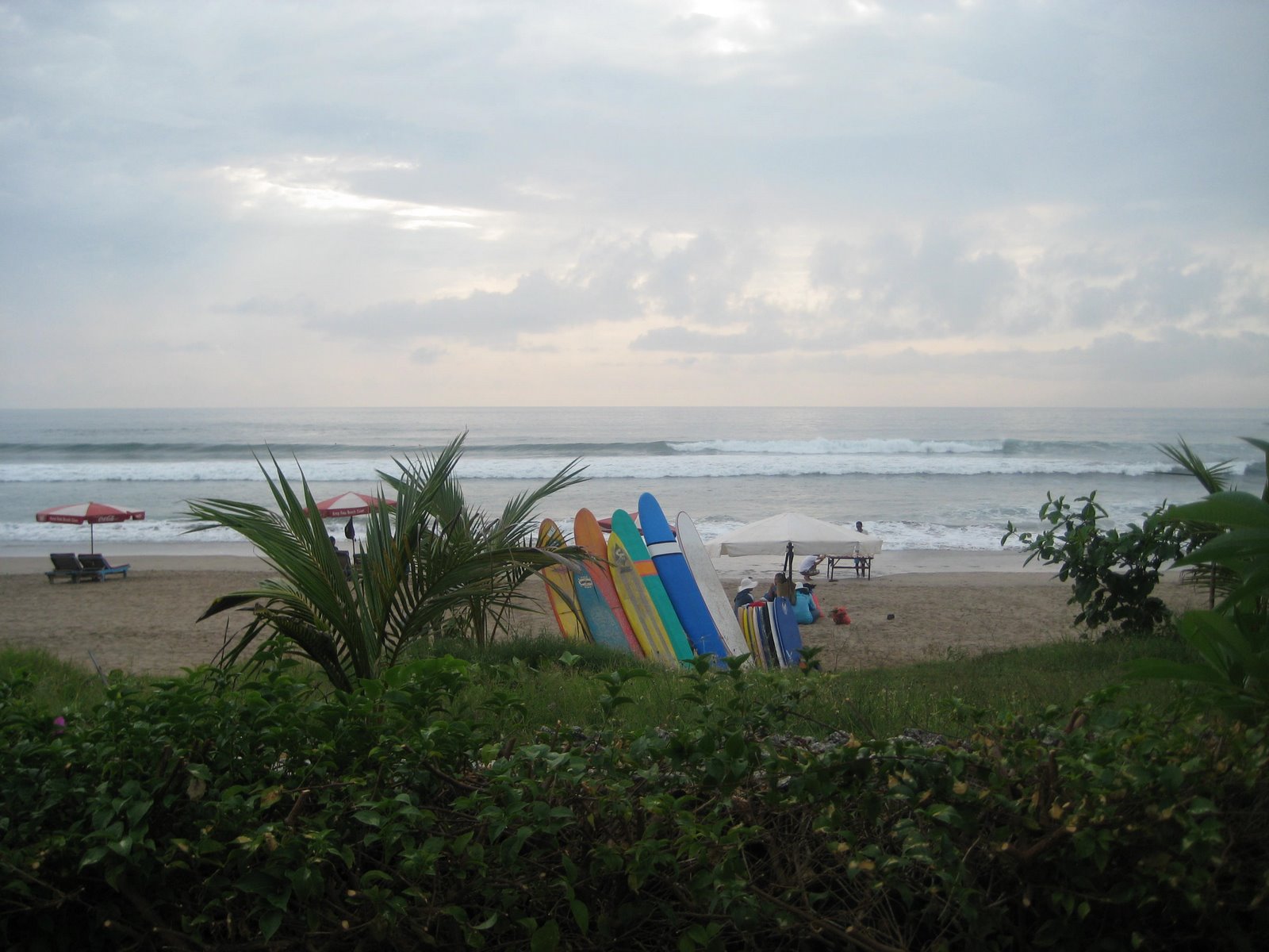 [Surf]