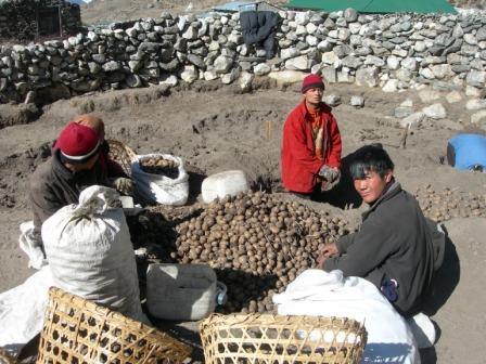 [April+6-Village+life+potato+planting+season.JPG]
