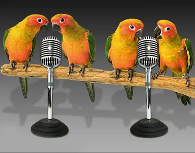 LOROS CANTANDO