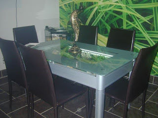 amazing aquarium fish tank design