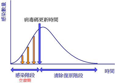 [virus_pattern_update_point.png]