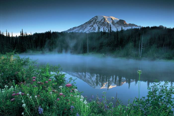 Calm And Tranquil