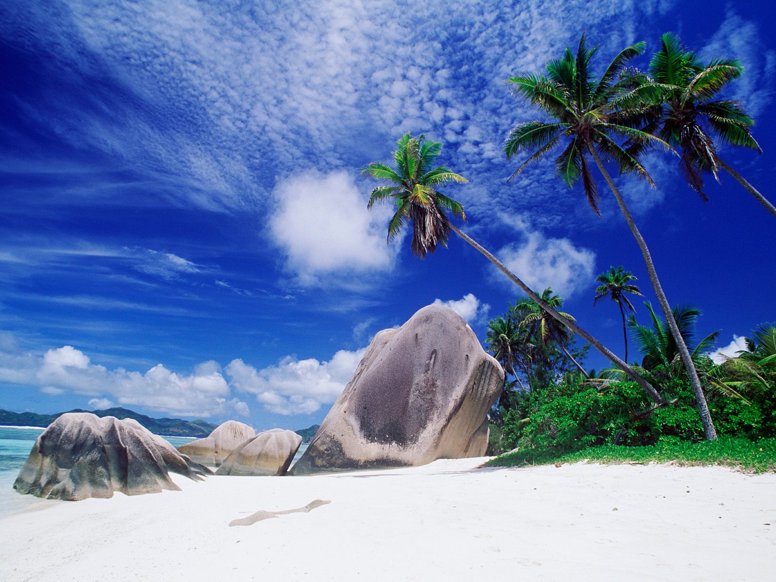 http://4.bp.blogspot.com/_JO_mM1vSf3o/TT_zsexTFDI/AAAAAAAACbg/rFPWqaDLrs4/s1600/landscapes_desktop_wallpaper-171903palm_tree_beach%5B1%5D.jpg