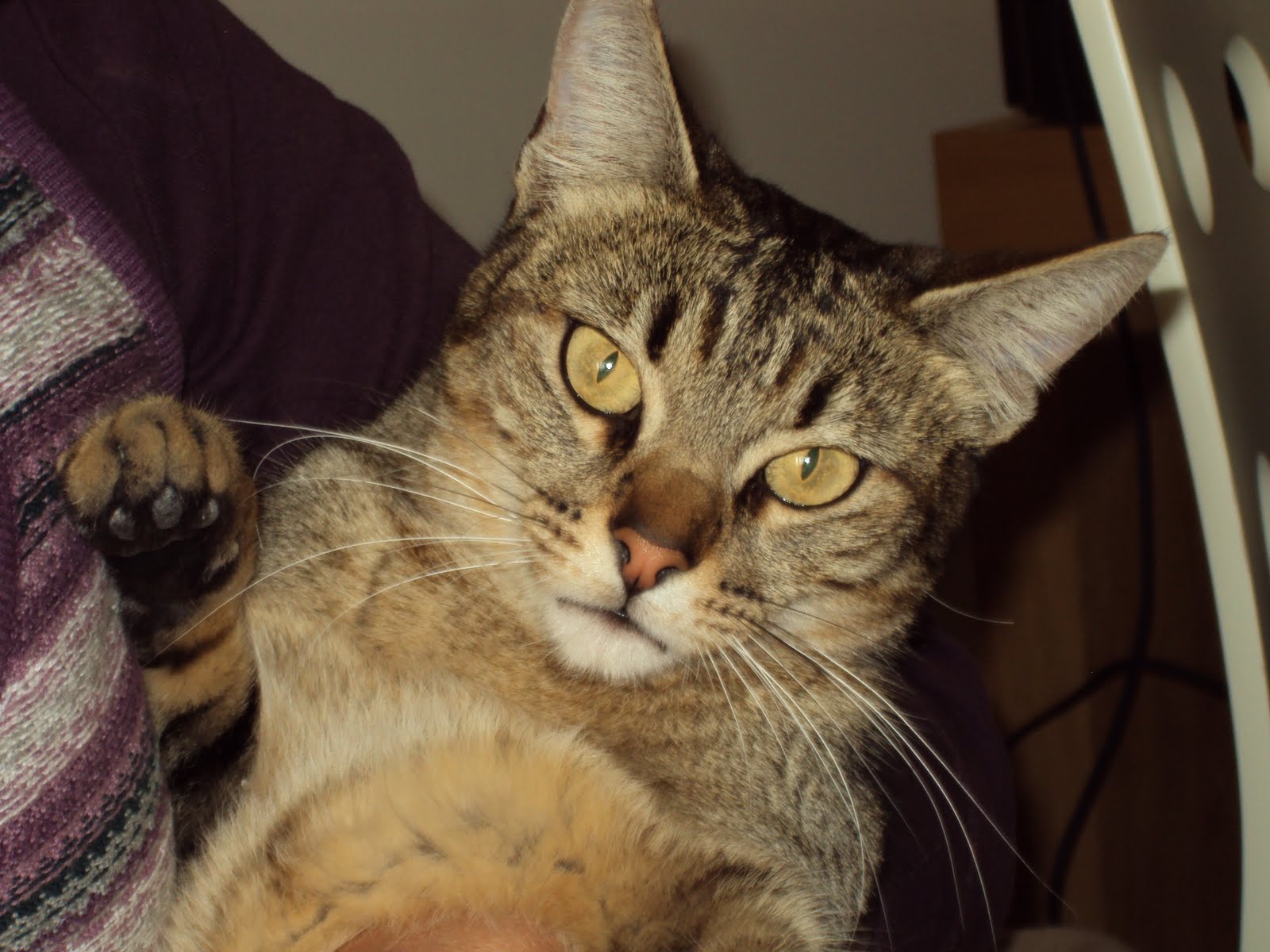 [OlÃ­via+12-12-2009+(6).JPG]