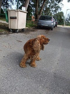 [DSCF0990ppp.jpg]